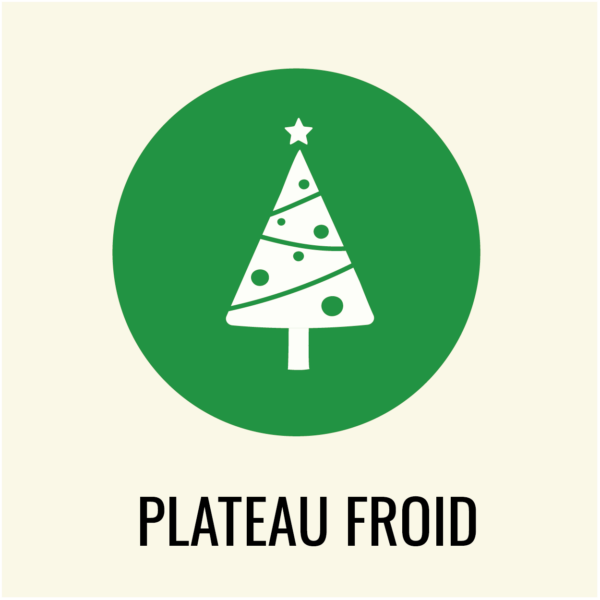 PLATEAU REPAS FROID POUR LES FÊTES – Image 1